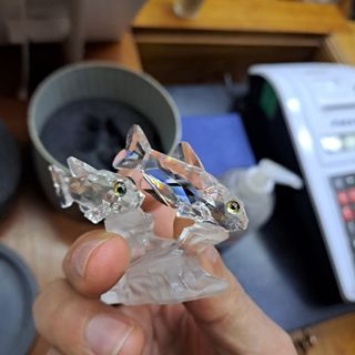 Swarovski pesci del sud