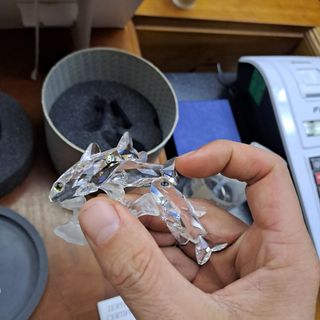 Swarovski pesci del sud