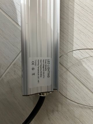 Focos de cultivo lef