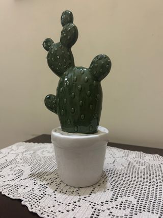 Coppia fichi d India