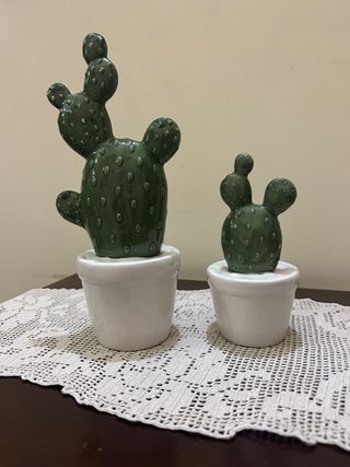 Coppia fichi d India