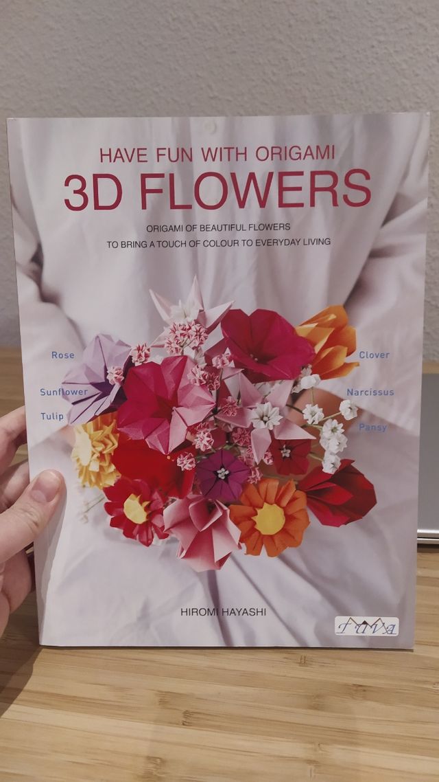Have Fun With Origami 3D Flowers: Origami of beautiful flowers to bring a touch of colour to everyday living