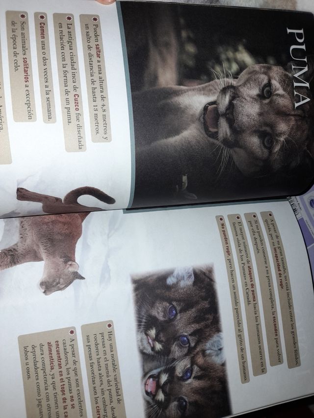 Libro "El mundo animal" editorial Albor
