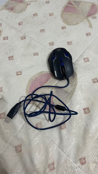 Raton Gaming