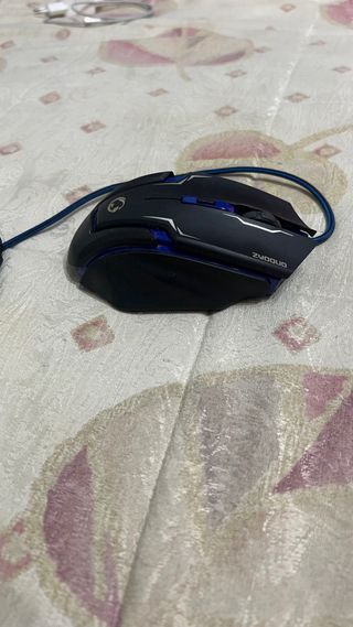 Raton Gaming