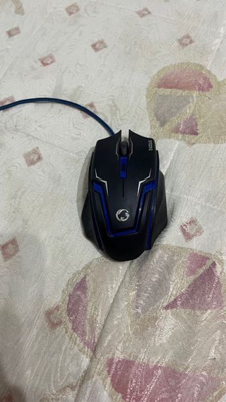 Raton Gaming