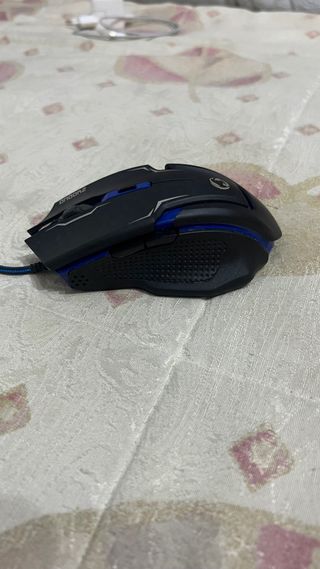 Raton Gaming