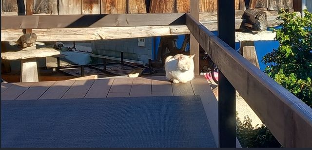 2 alfombras de exterior color bronce