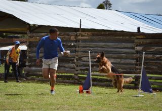 Adiestrador y cuidador canino