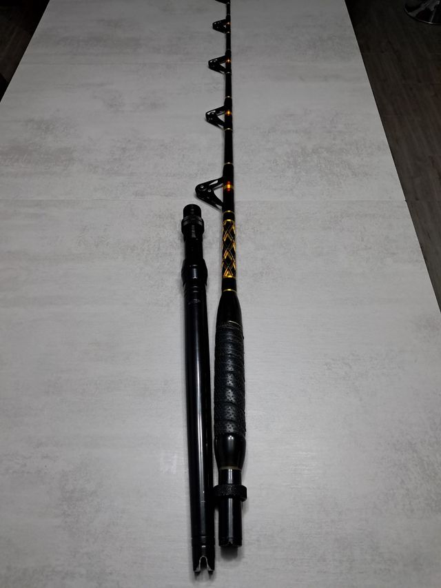 Caña 80 lbs currican