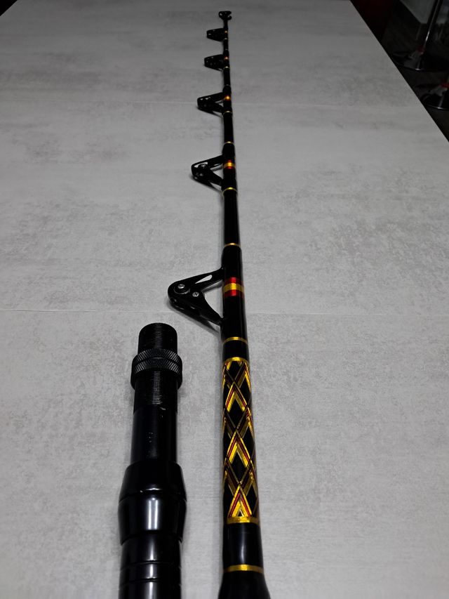 Caña 80 lbs currican