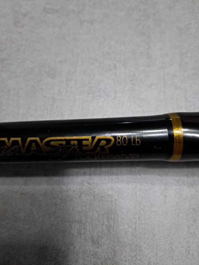 Caña 80 lbs currican