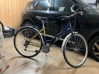 Bicicleta paseo urbana clasica bh