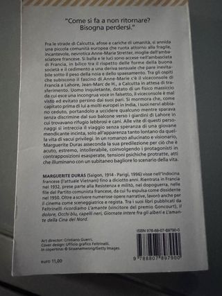 Il viceconsole (Italian Edition)