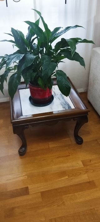 Mesa baja antigua de mármol.
