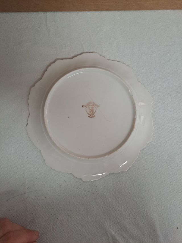 Plato de Porcelana Antiguo