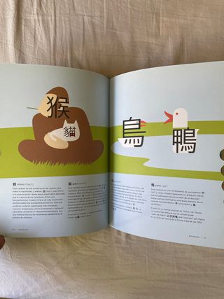 Libro Chineasy aprender chino
