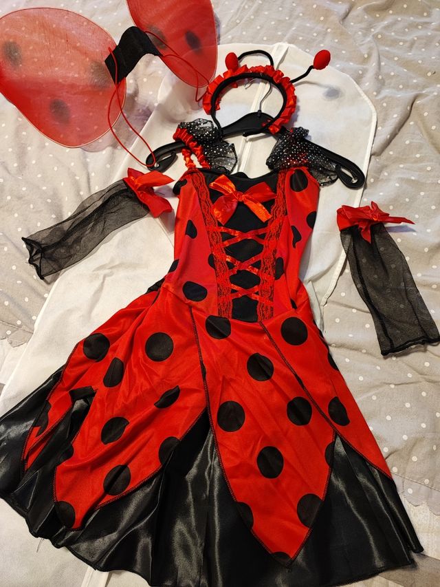 Abito coccinella 9/11 anni carnevale