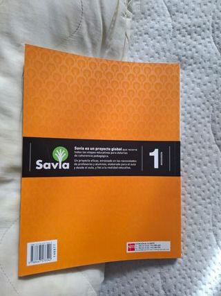Economía. 1 Bachillerato. Savia (Spanish Edition)