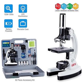 Microscopio