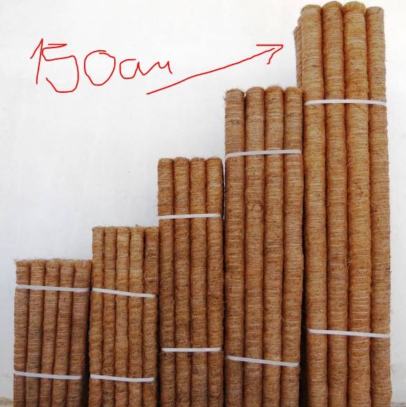 Tutor de coco para Plantas 150 cm interior