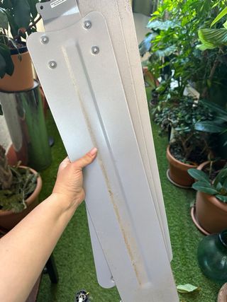 Ventilador de techo