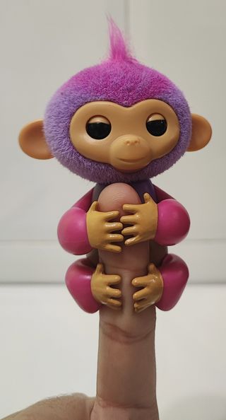 Fingerling monito bebé