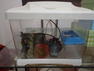 Acuario 38*23*25
