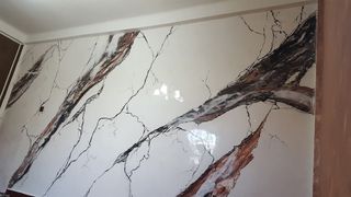 Pintor Profesional  Estuco