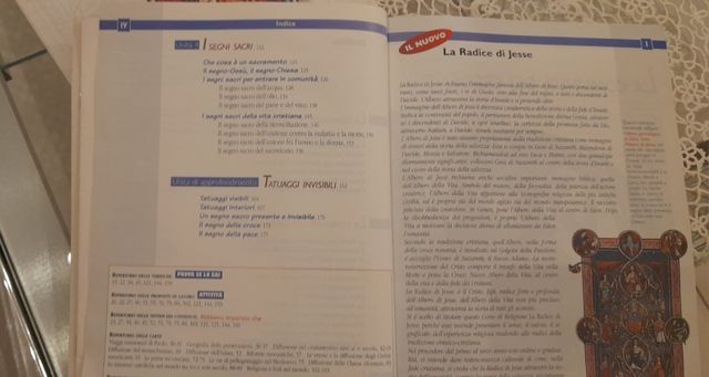 La radice di Jesse Di Maria Rosa Poggio