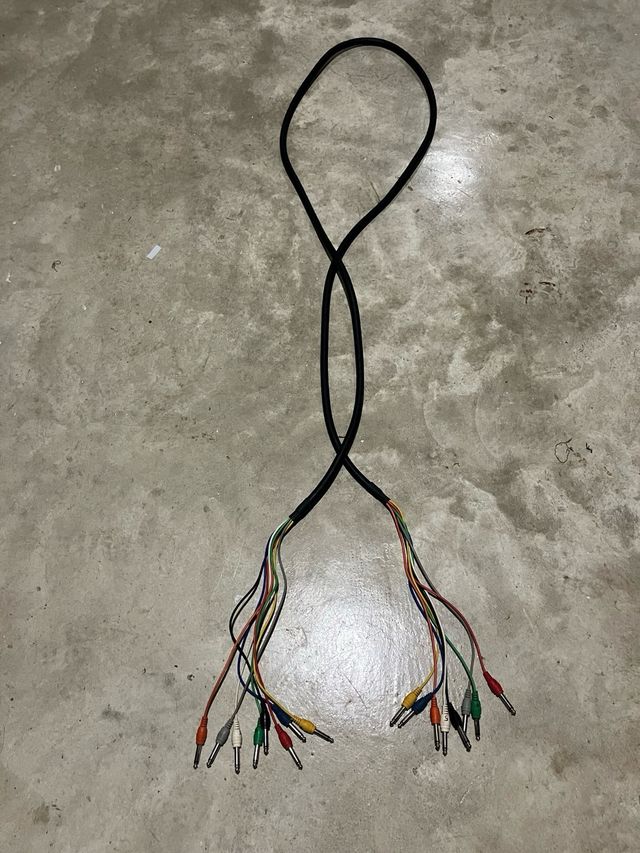 Manguera HOSA de 8 cables TS