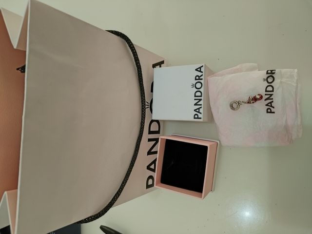 Charms spider pandora