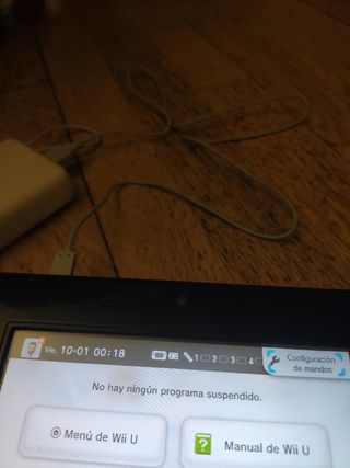 Cable usb carga wii u gamepad