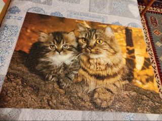 Puzzle Ravensburg Gatti 1000 pezzi fuori produzion
