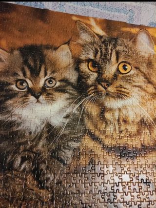 Puzzle Ravensburg Gatti 1000 pezzi fuori produzion