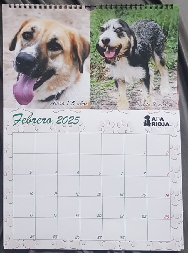 smartwatch prixton SW15 SIM.