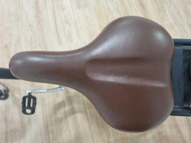 Bicicleta eléctrica