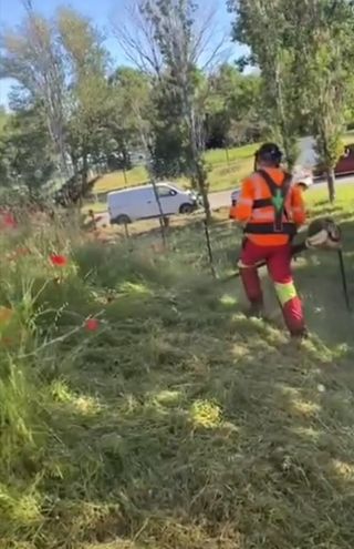 Limpieza de parcelas jardines 