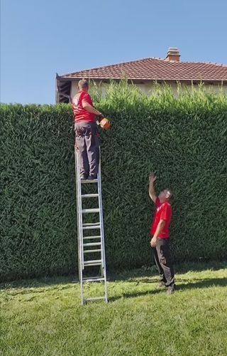 Limpieza de parcelas jardines 