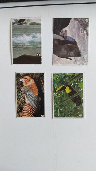 Lote de 180 cromos de Al Lado de los Animales.