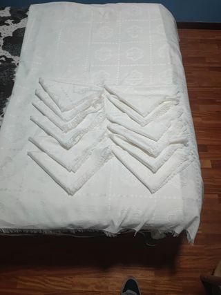 Mantel mesa con 12 servilletas de tela a juego