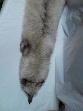 Collo stola scialle vera pelle