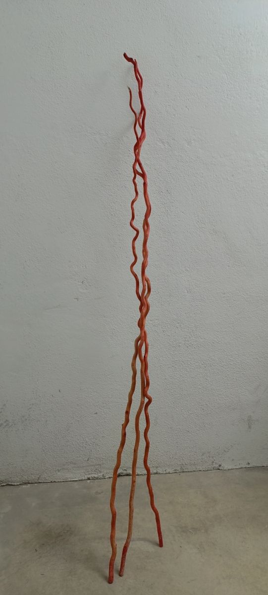 Palos rojos decoracion