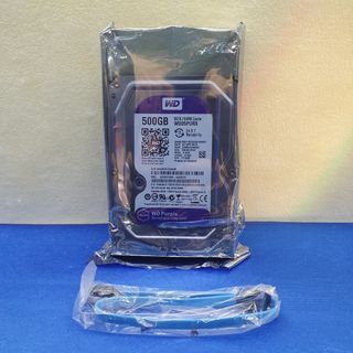 HARD DISK DI SICUREZZA WESTERN DIGITAL 500GB HDD