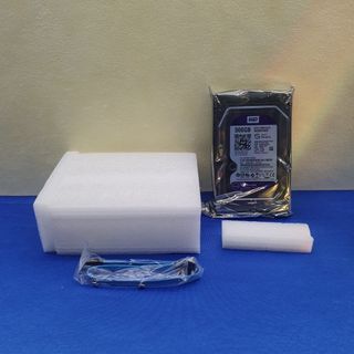 HARD DISK DI SICUREZZA WESTERN DIGITAL 500GB HDD
