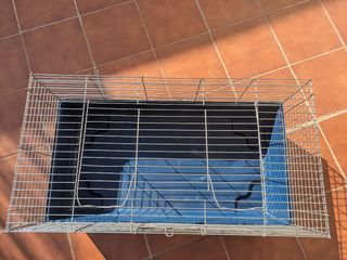 Jaula para cobayas y conejos