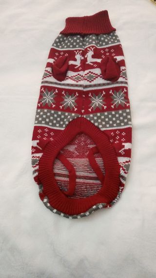 Maglione cane natalizio