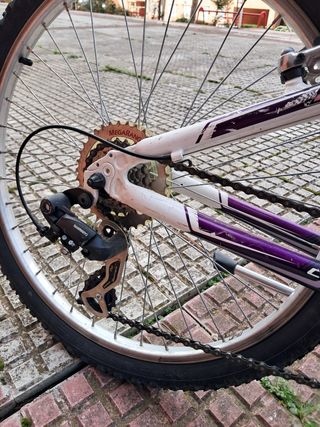 Bici 24 pulgadas coluer