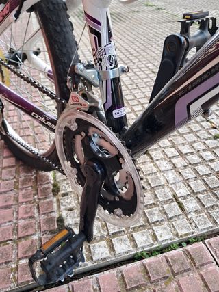 Bici 24 pulgadas coluer