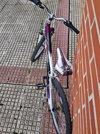 Bici 24 pulgadas coluer
